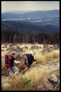 Šumava