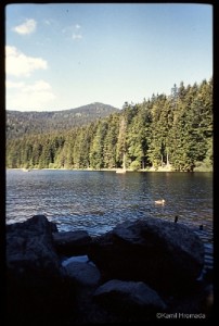 Großser Arbersee